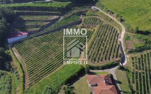 Quinta Vinícola em Idães – Felgueiras