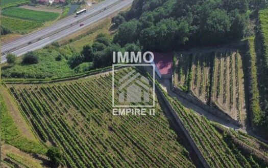 Quinta Vinícola em Idães – Felgueiras